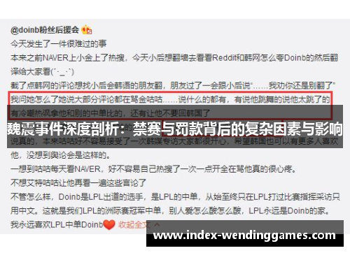 魏震事件深度剖析：禁赛与罚款背后的复杂因素与影响